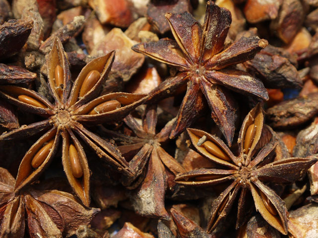 Star Anise